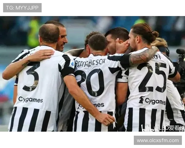 以意甲赛事平台数据为核心打造多维度智能分析与预测决策新生态体系 - 副本 - 副本 - 副本